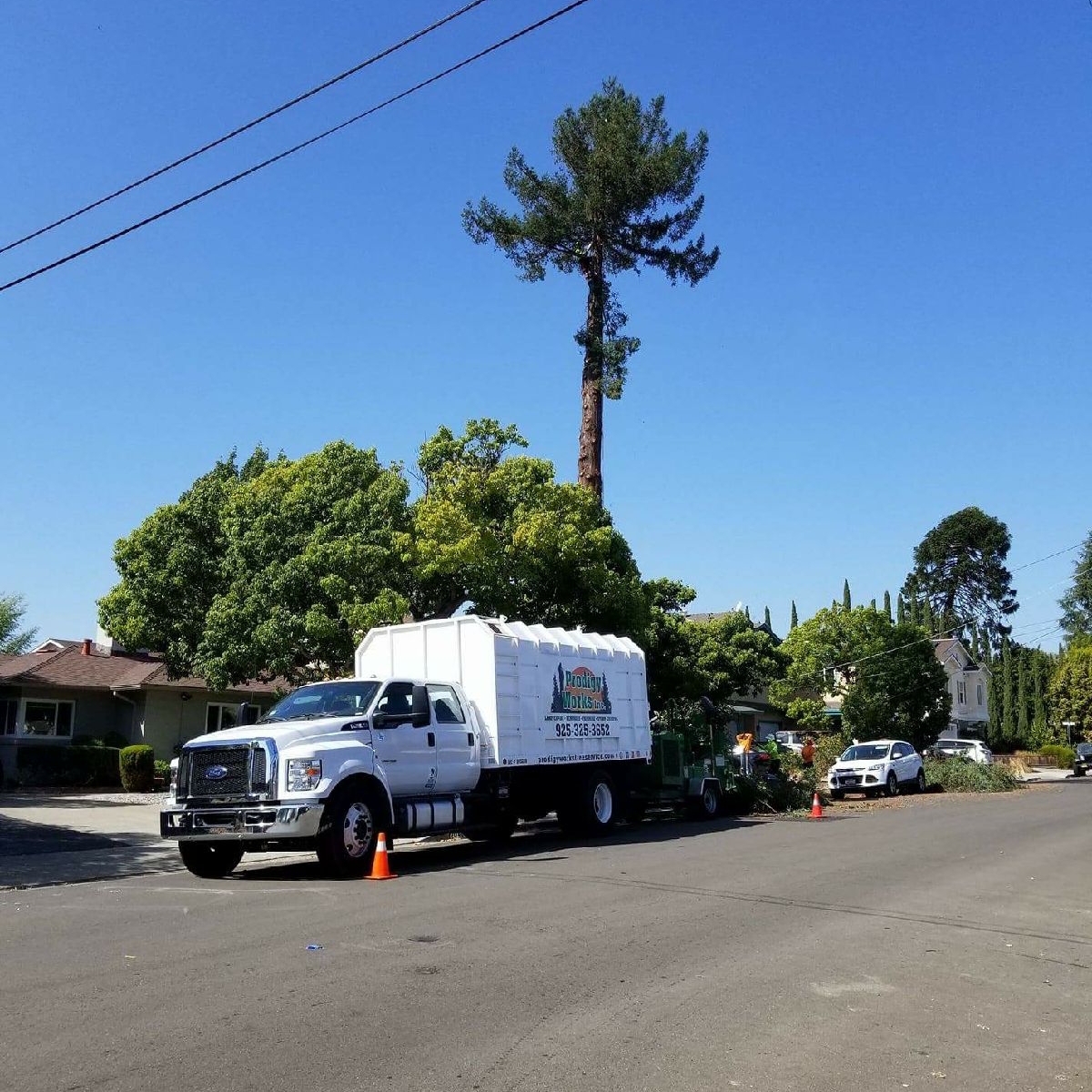 Avatar for Prodigy Works