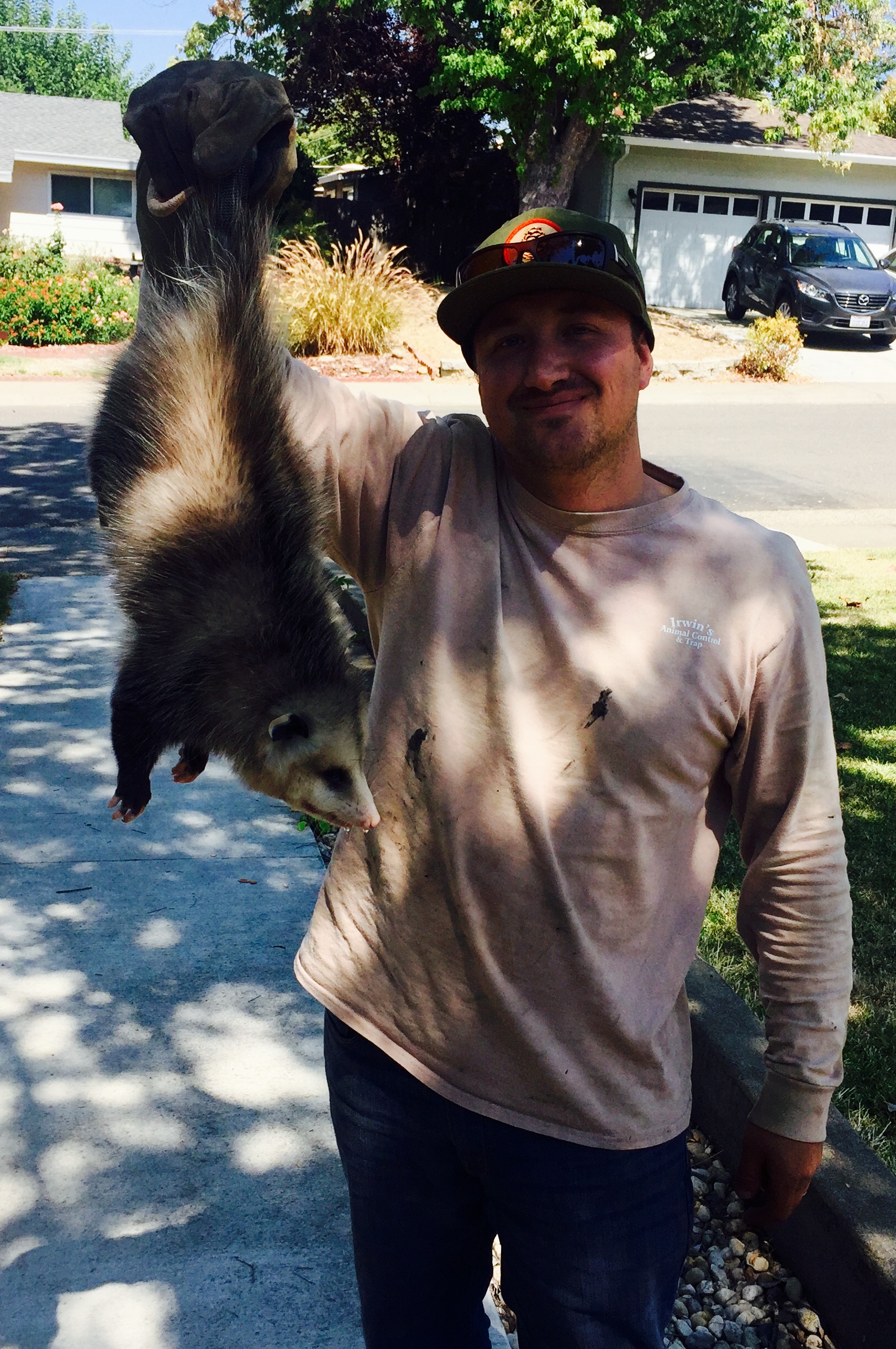 Avatar for Irwin's Animal Control and Trap