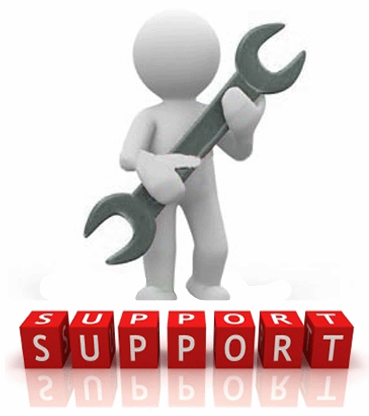 tag_II Computer Services logo