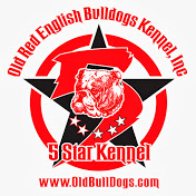 Avatar for Old Red English Bulldogs Kennel Inc