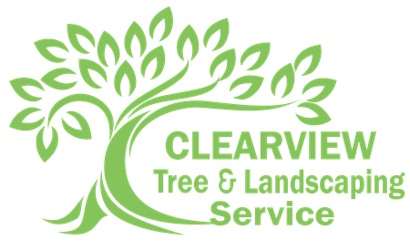 Avatar for Clear view tree service and landscaping