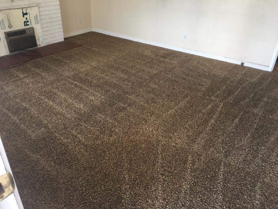 Avatar for Drymaster of Erie County