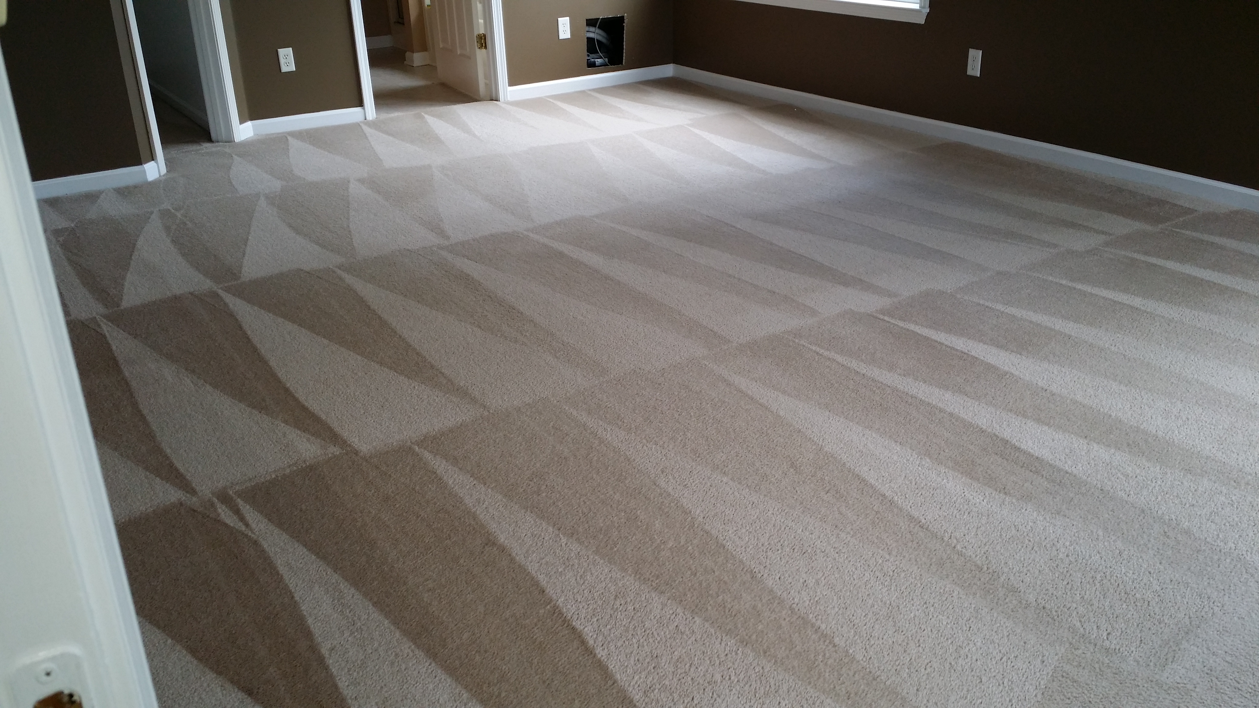 Avatar for Clean Scene Pro