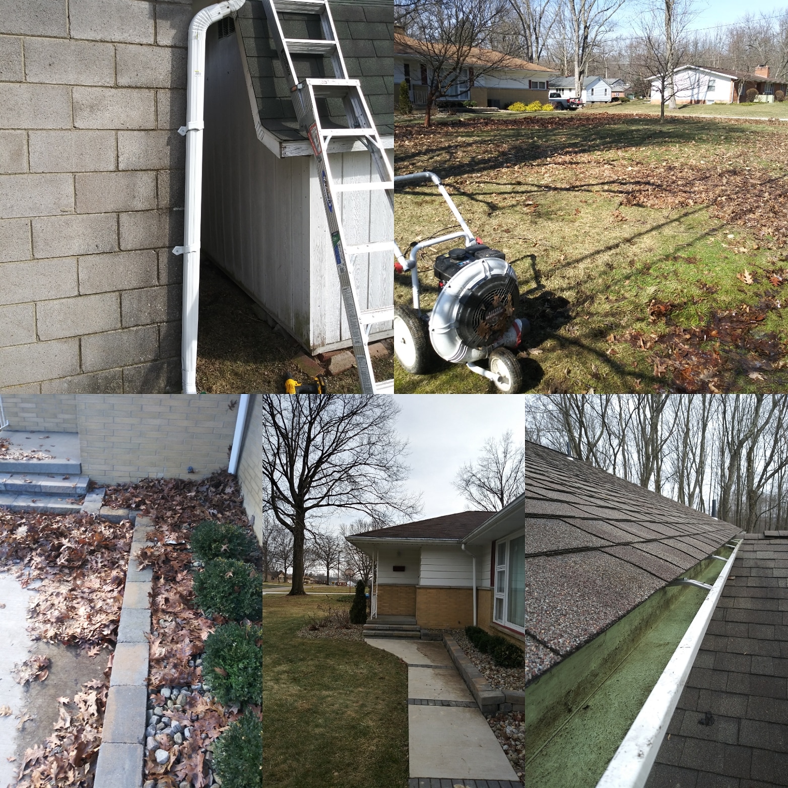 Avatar for TMJ Home Services, LLC.