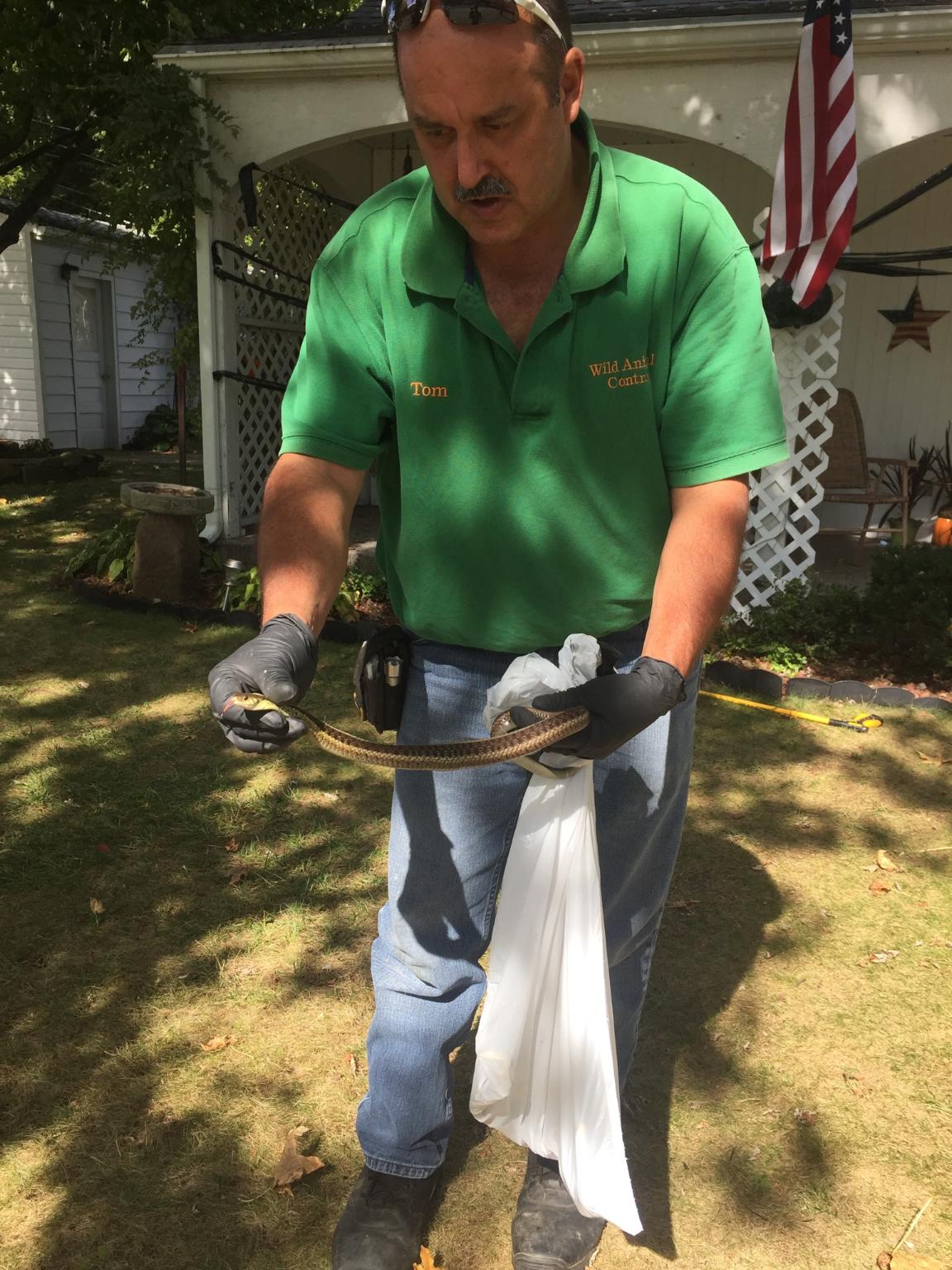 Avatar for Nuisance Wild Animal Control and Home Repairs LLC