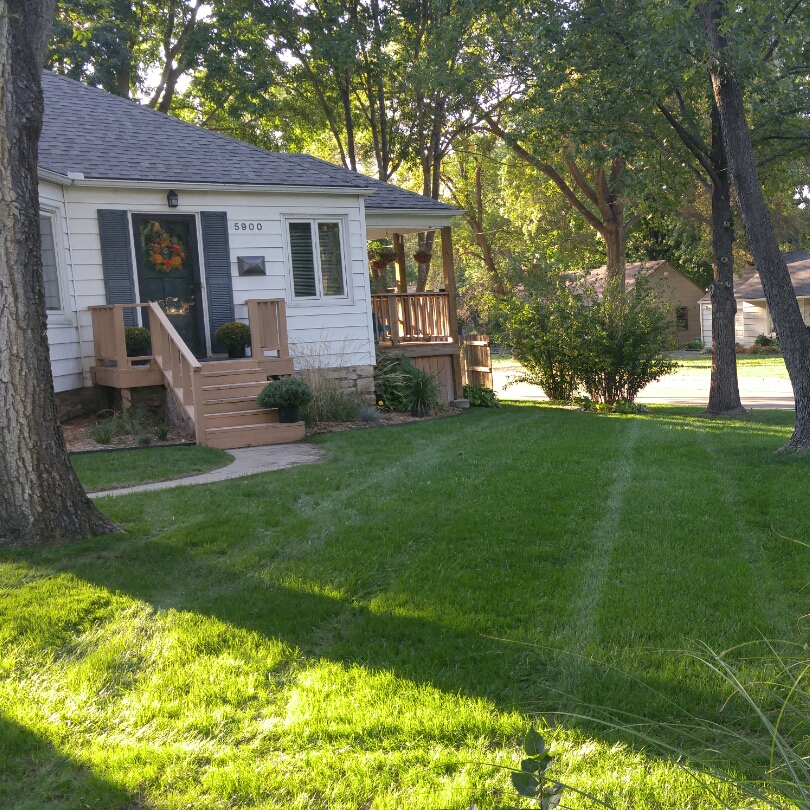 Logo for Blue Sparrow Lawn Care