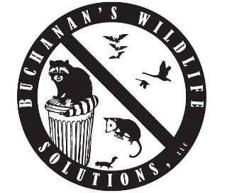 Avatar for Buchanan's Wildlife Solutions LLC
