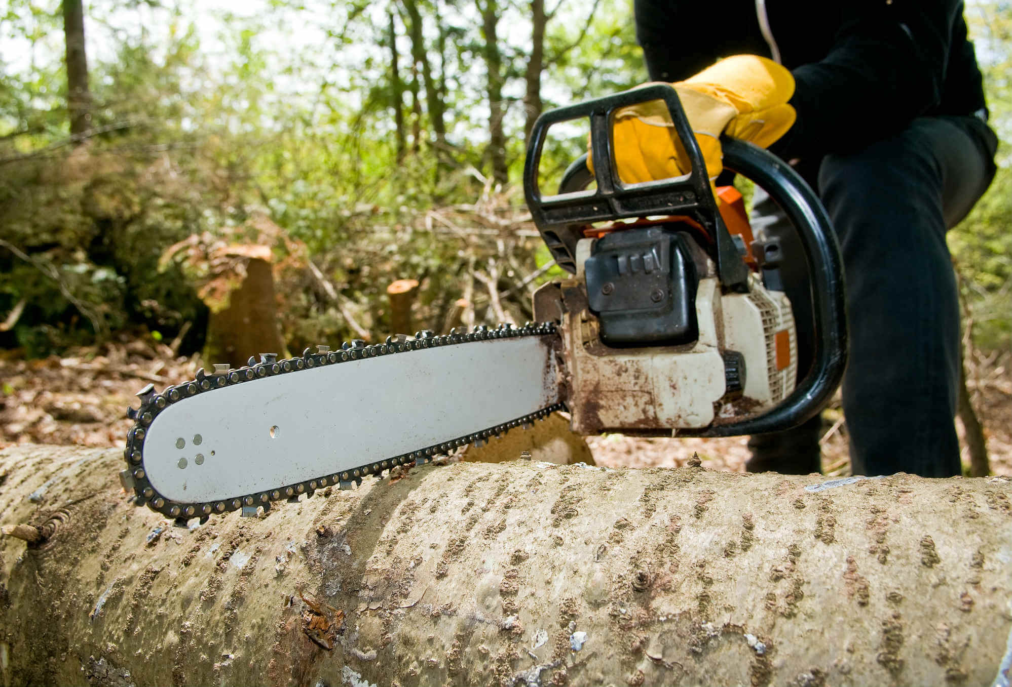 G & K Tree Specialists logo