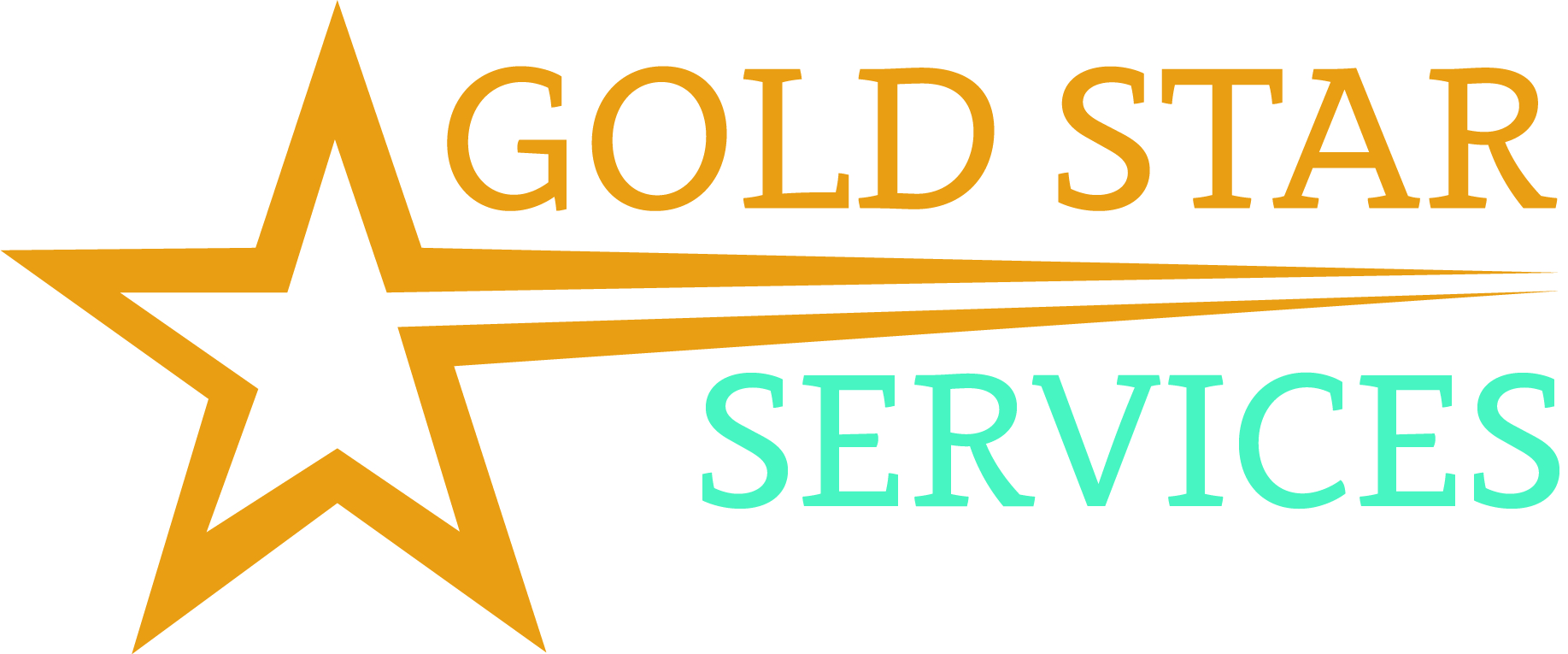 Logo for Gold Star Services, LLC