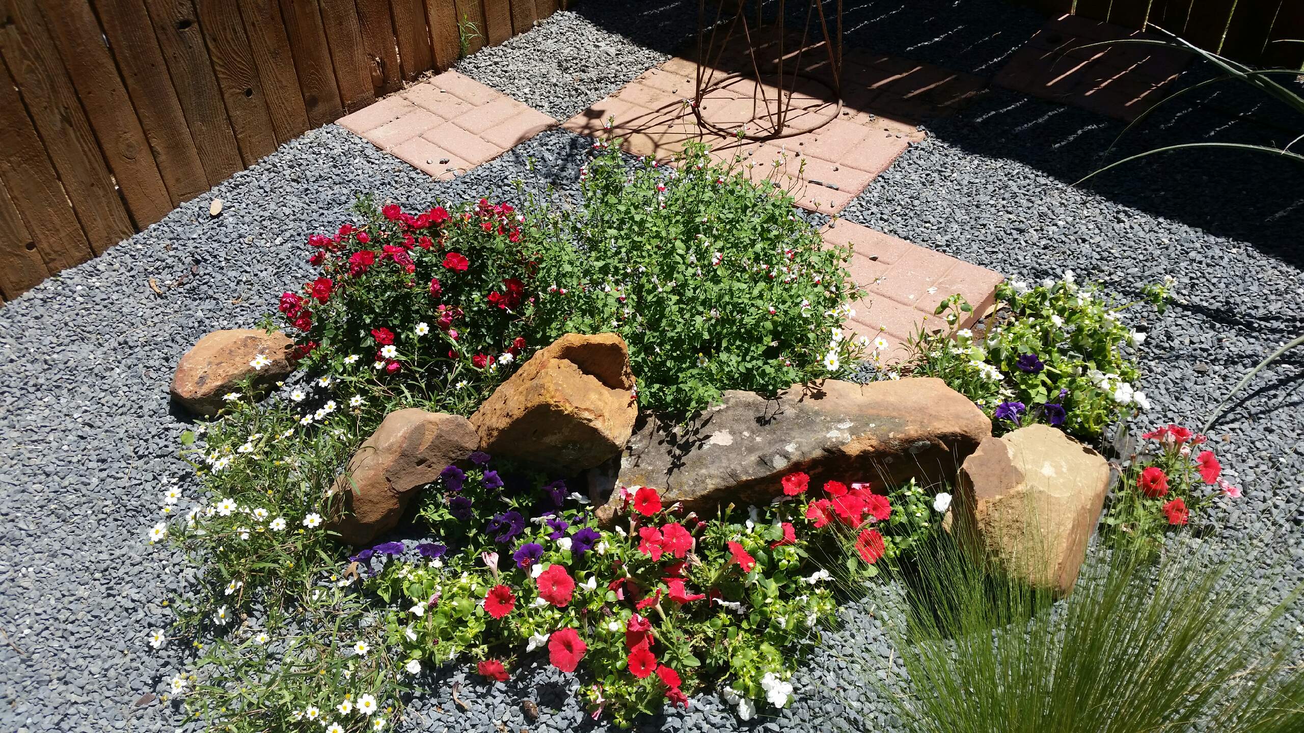EXPRESS LAWNCARE/LANDSCAPING logo