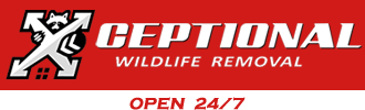 Logo for Animal Control and Removal in Northern Virginia