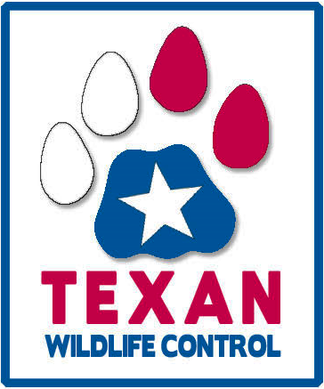 Avatar for Texan Wildlife Control