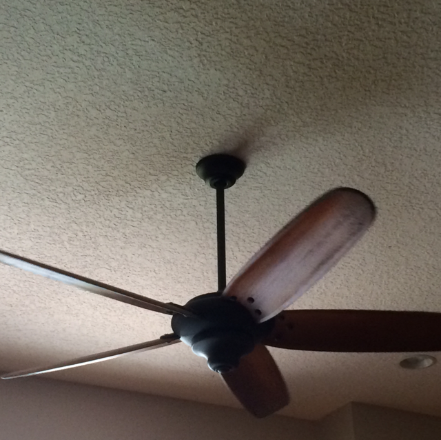 Hampton Bay Altura 68 Ceiling Fan Reviews Shelly Lighting