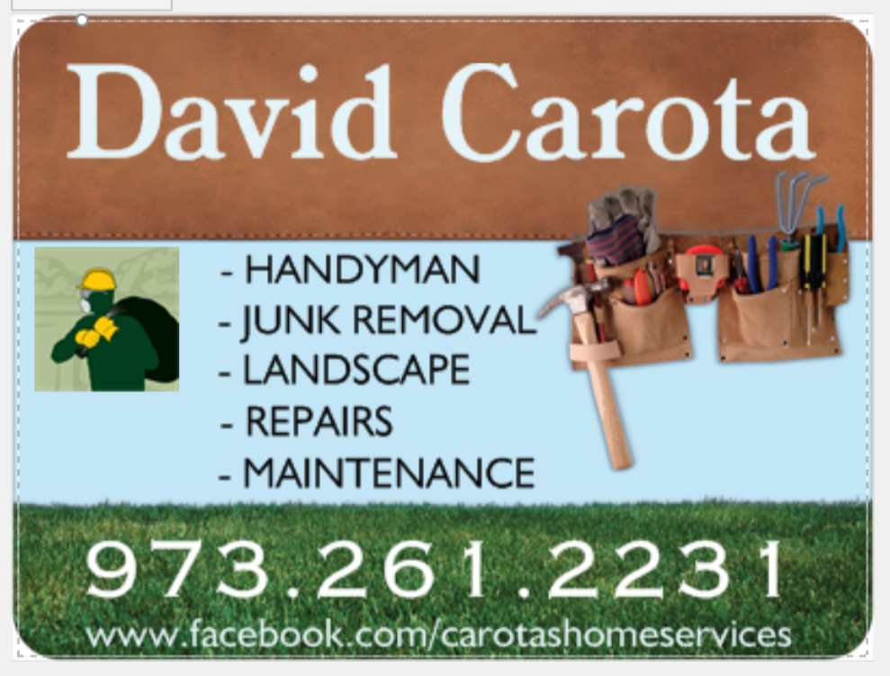 David Carota logo