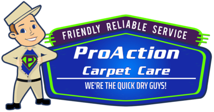Avatar for ProAction Carpet Care LLC