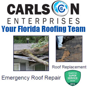 Avatar for Carlson Enterprises LLC - Orlando