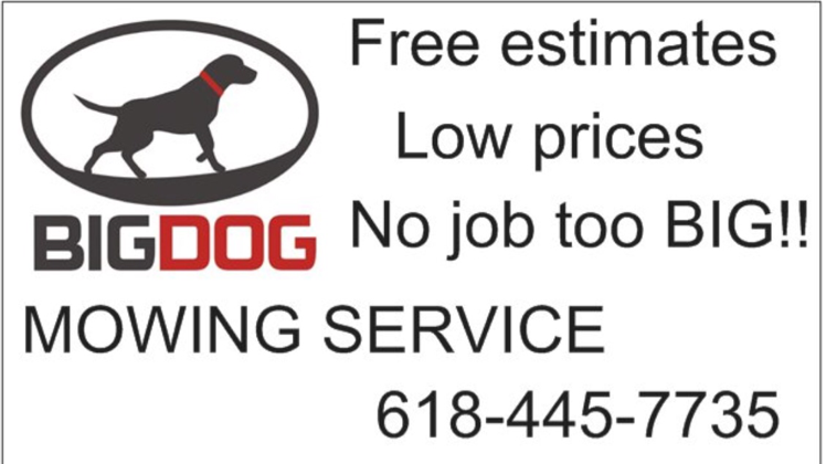Avatar for Big Dog Mowing Service 