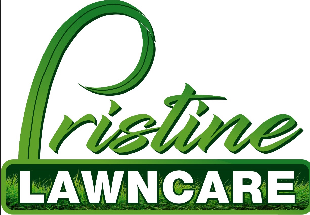 Avatar for A Clean Cut Above Lawn Care LLC