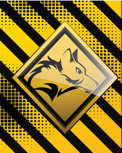 Lobo Construction LLC logo