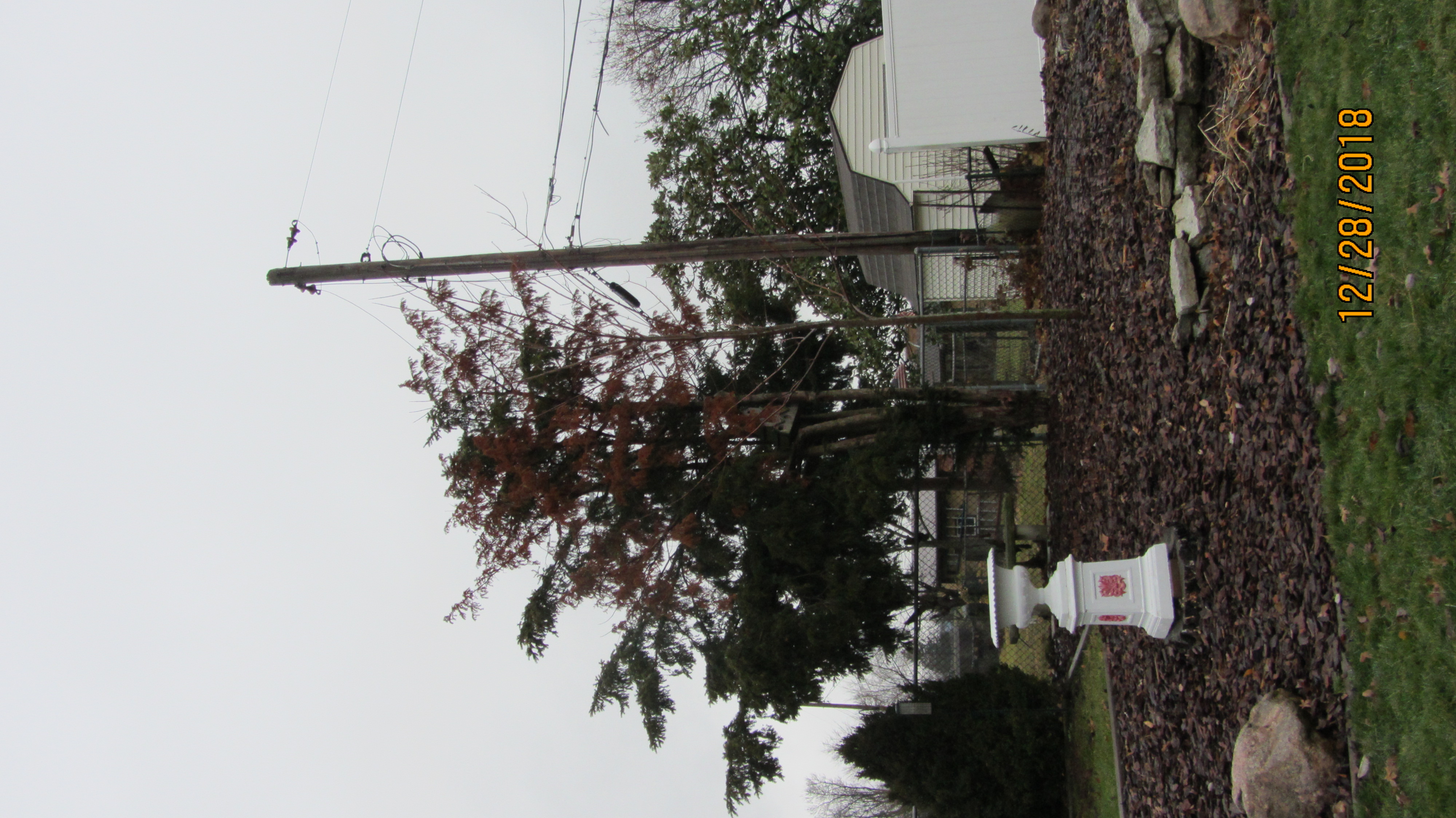 3n1-tree-service-reviews-dayton-oh-angi