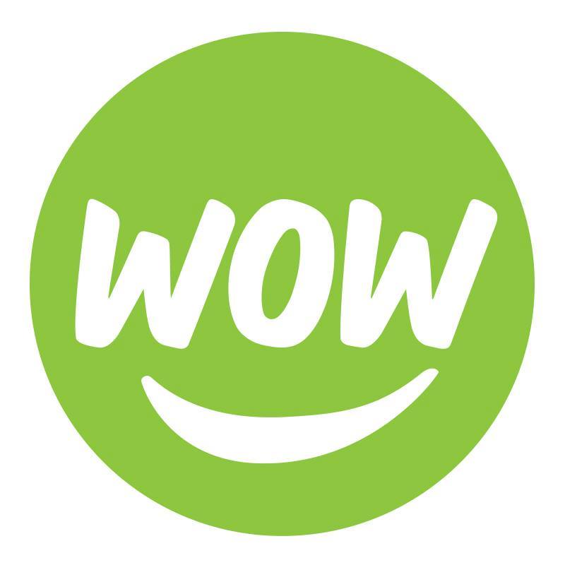 Logo for WOW 1 DAY PAINTING Knoxville