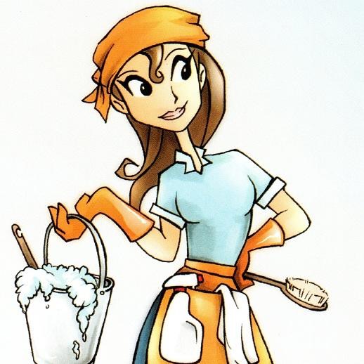 Cesi's cleaning logo