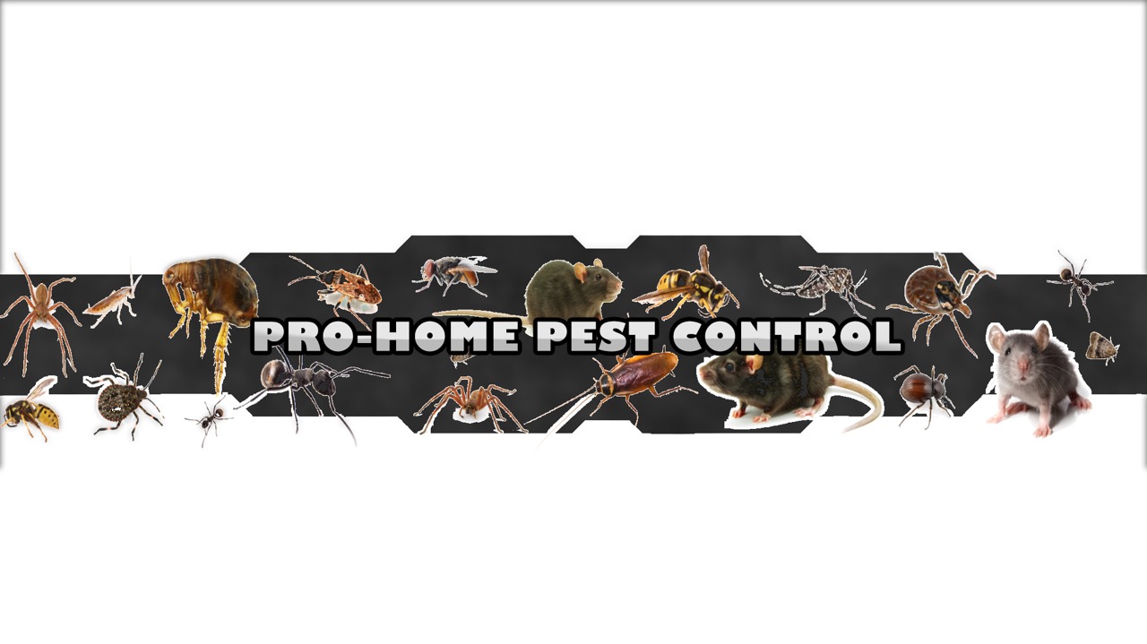 Logo for Pro-Home Pest Control