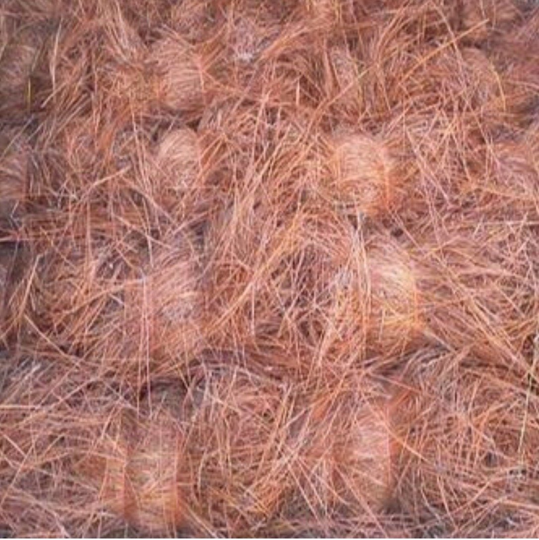 Avatar for The Pinestraw Co