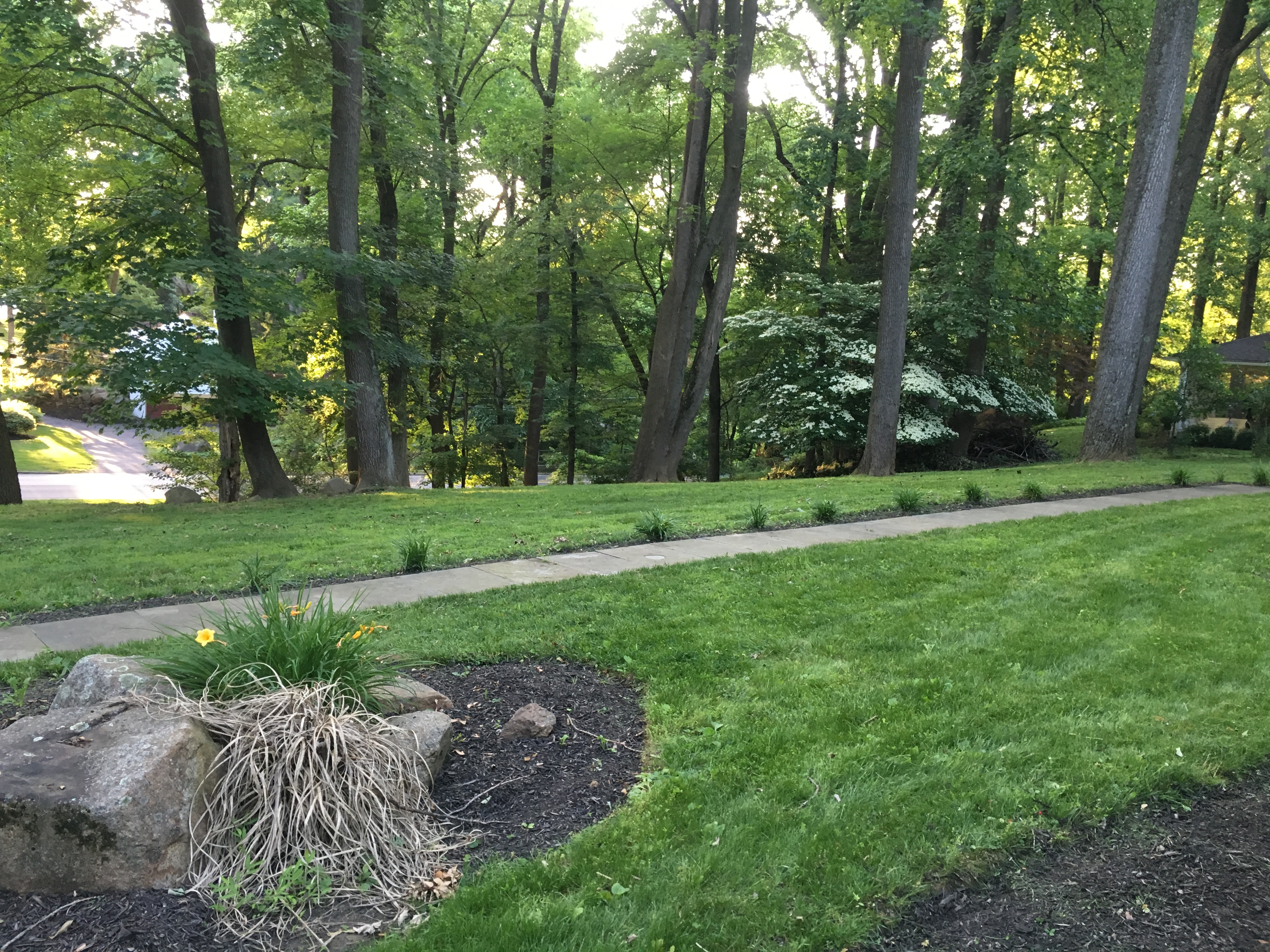 Vinny's Landscaping logo