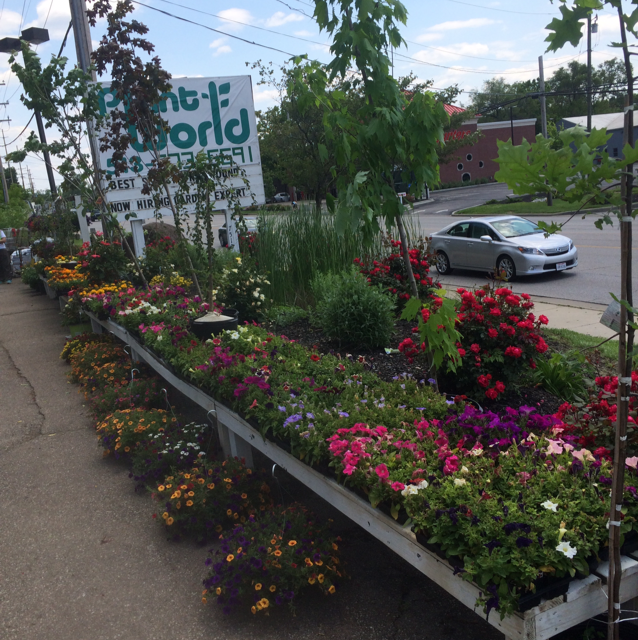 Avatar for Plant World