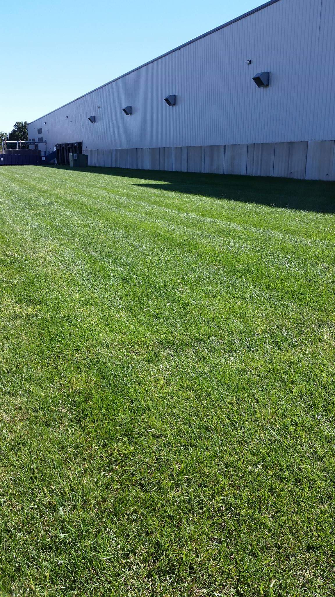 Avatar for Perry Turf