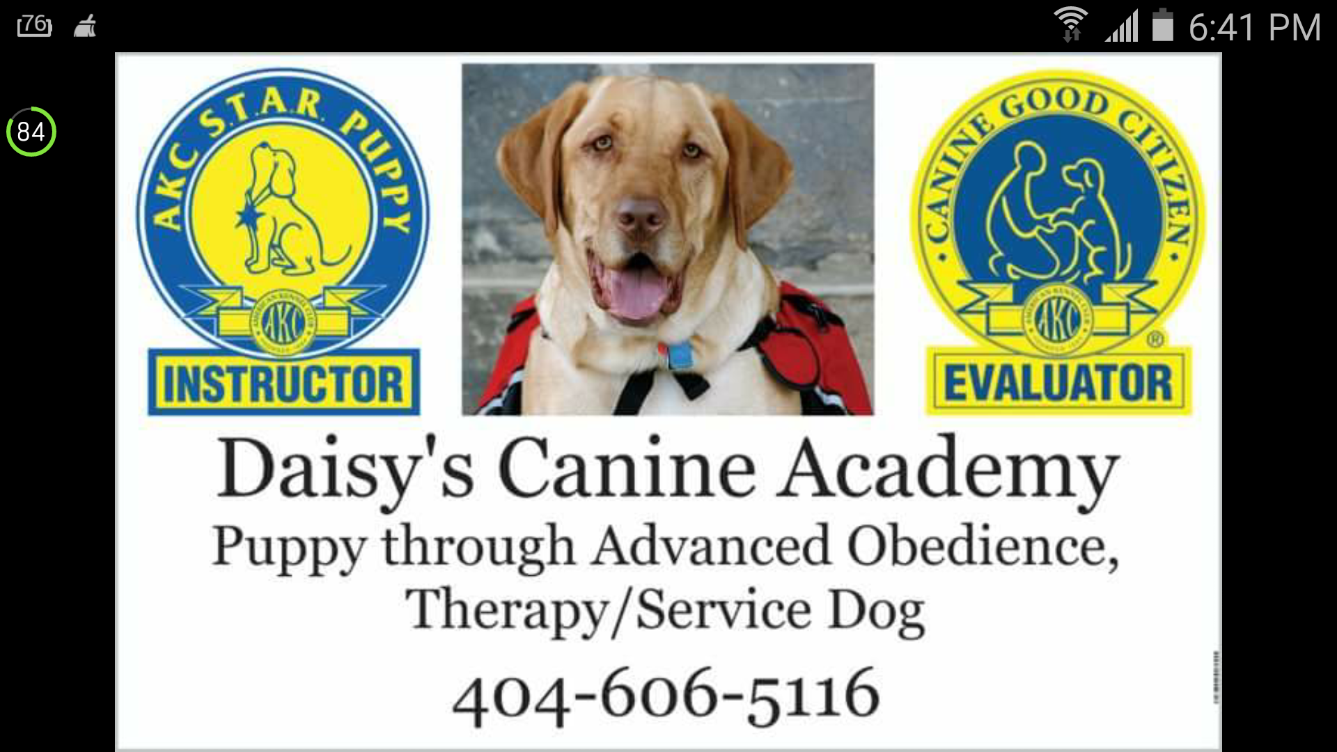 Logo for Daisy's Canine Academy