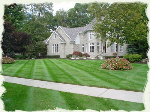 Avatar for New Growth Landscaping & Lawn Care