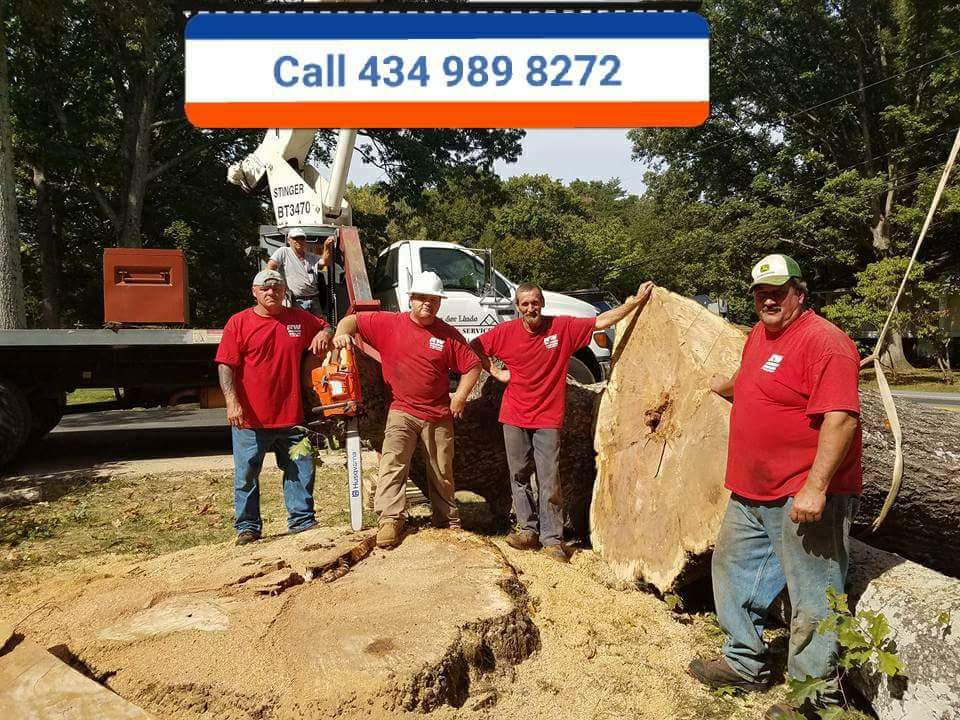 Avatar for RW Morris Hauling and Tree Service