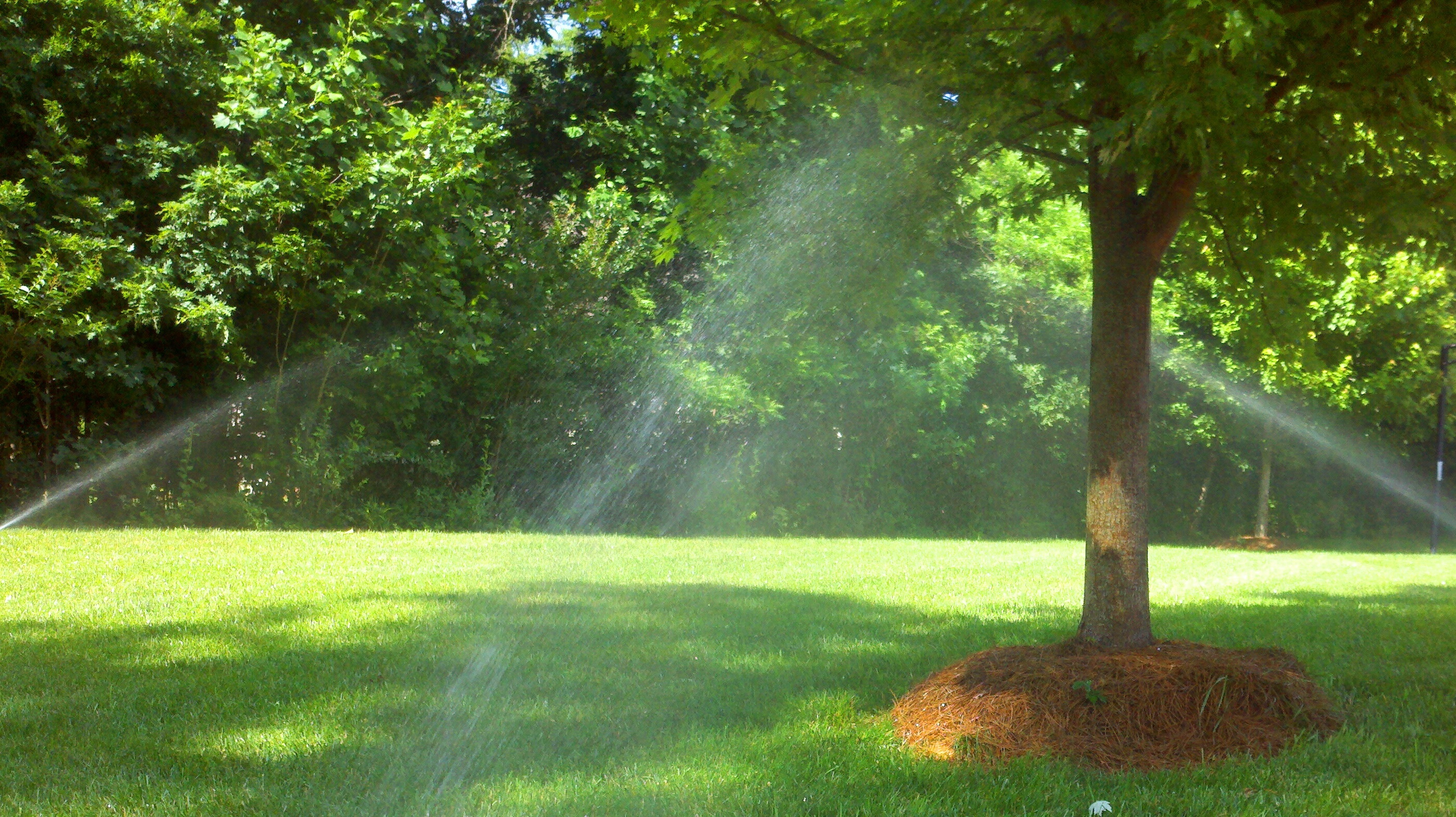CAROLINA SPRINKLER SYSTEMS Reviews Charlotte, NC Angi
