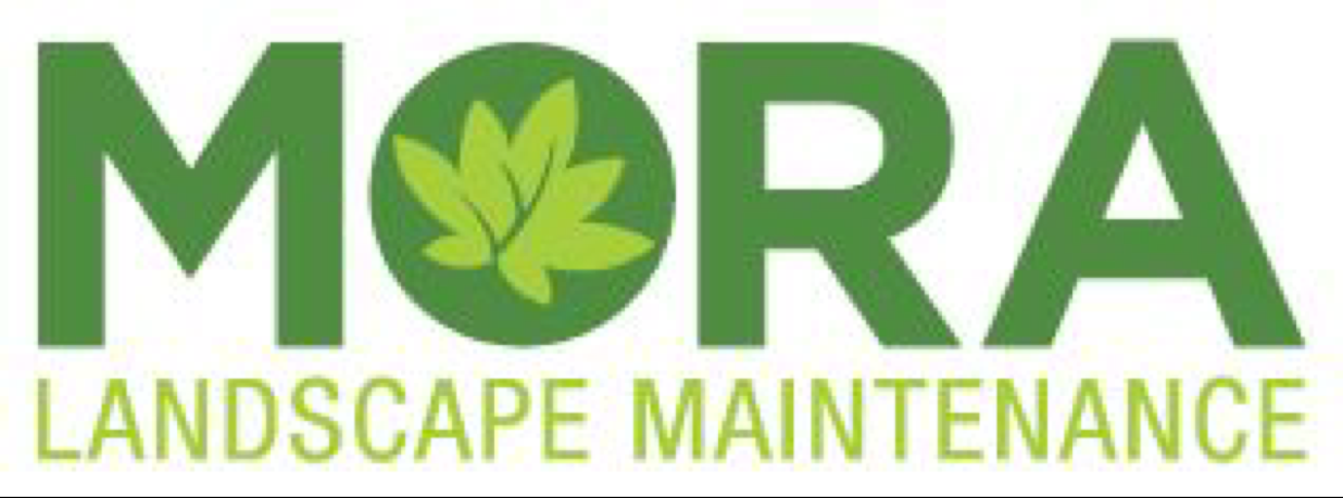 Avatar for Mora Landscape Maintenance