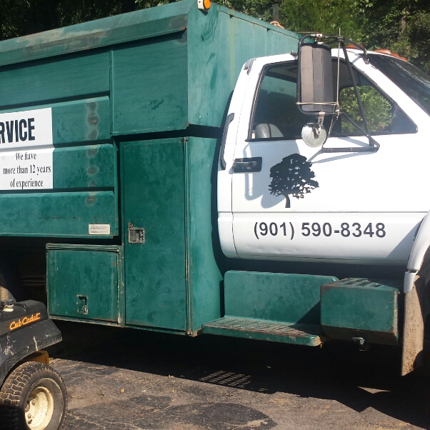 Jose Perez Tree Service Reviews Memphis Tn Angi