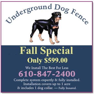 Avatar for Dog Fence Man