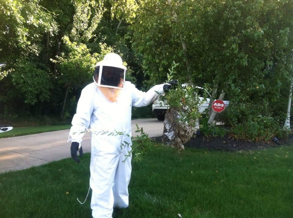 Avatar for A-Men Pest Control