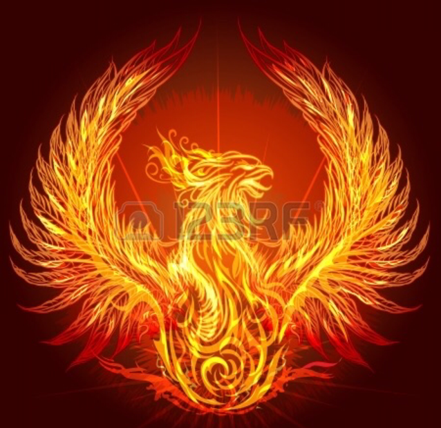 Avatar for Rsg construction inc