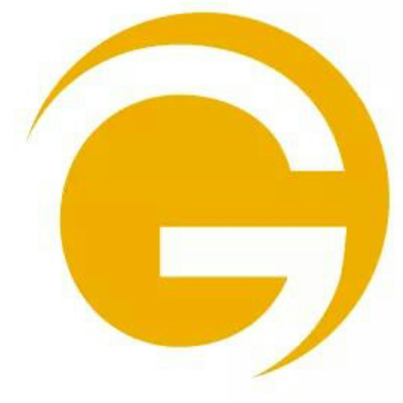 Avatar for Geekz Computer Service