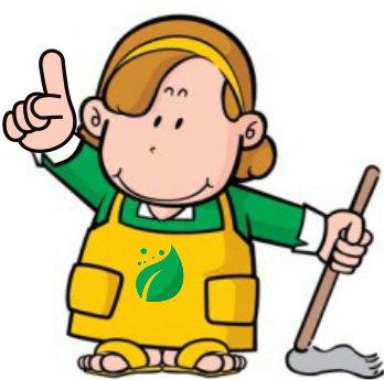 Nature Maid Clean logo