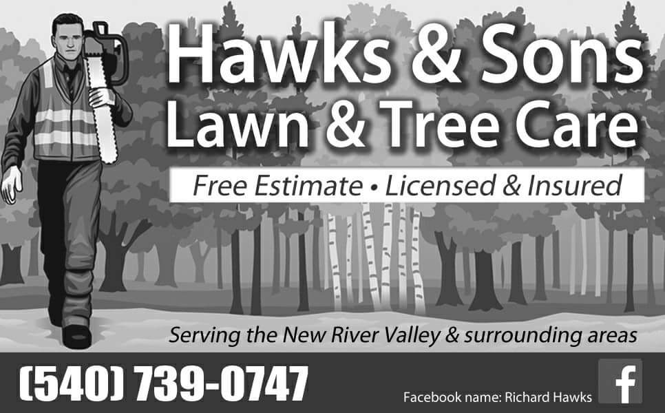 Avatar for HAWKS & SONS LAWN & TREE CARE