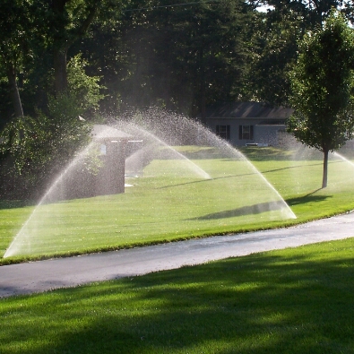 Logo for 5 Star Affordable Lawn Care