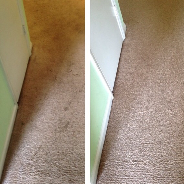 Green Deep Cleaning logo