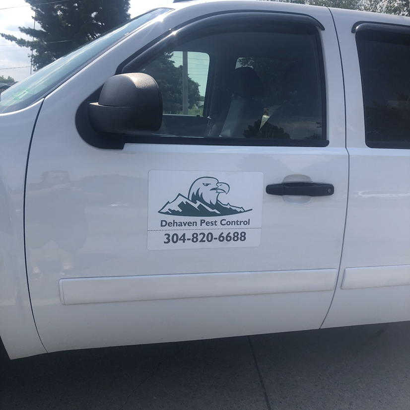 Avatar for Dehaven pest control 