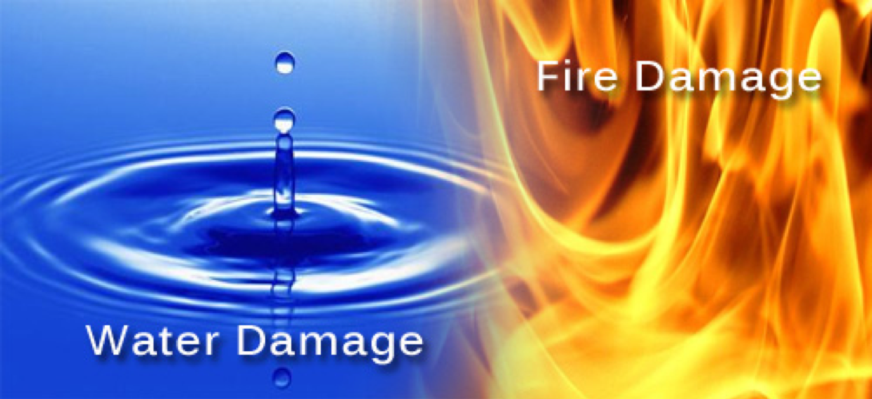 1st Response Disaster Cleanup logo