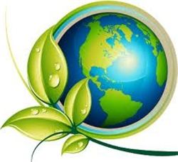 Avatar for Maria Cleaning Service