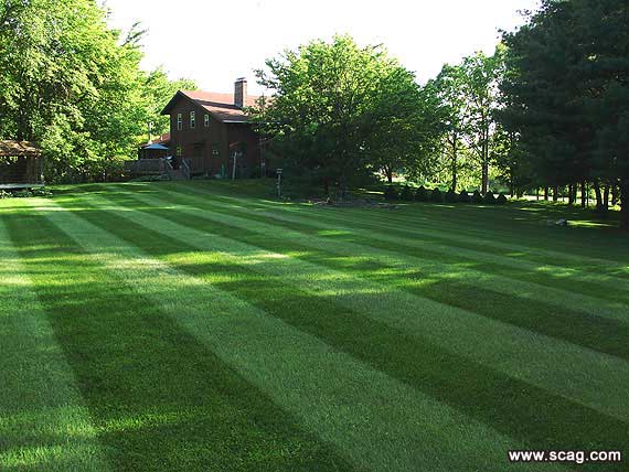 Clark's Lawn Care and Services logo