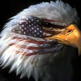 Logo for Crystal Clear Window Cleaning & Pressure Washing